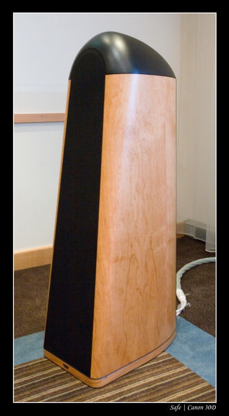 2007 - 03 - Salon hifi sofitel - 072